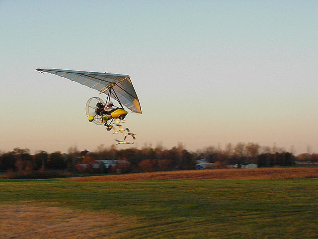 Ultralight training of juvenile whooping cranes in Wisconsin. (Photo courtesy, WCEP)